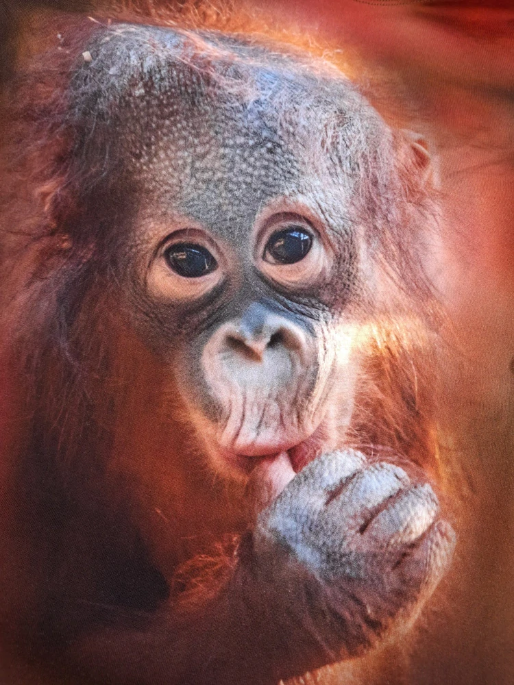 Tričko orangutan vel.140